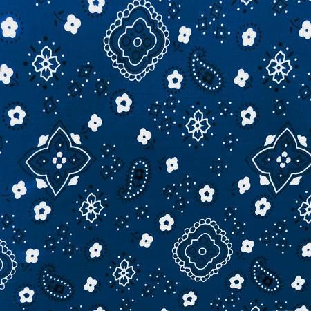 What is Paisley Fabric ?