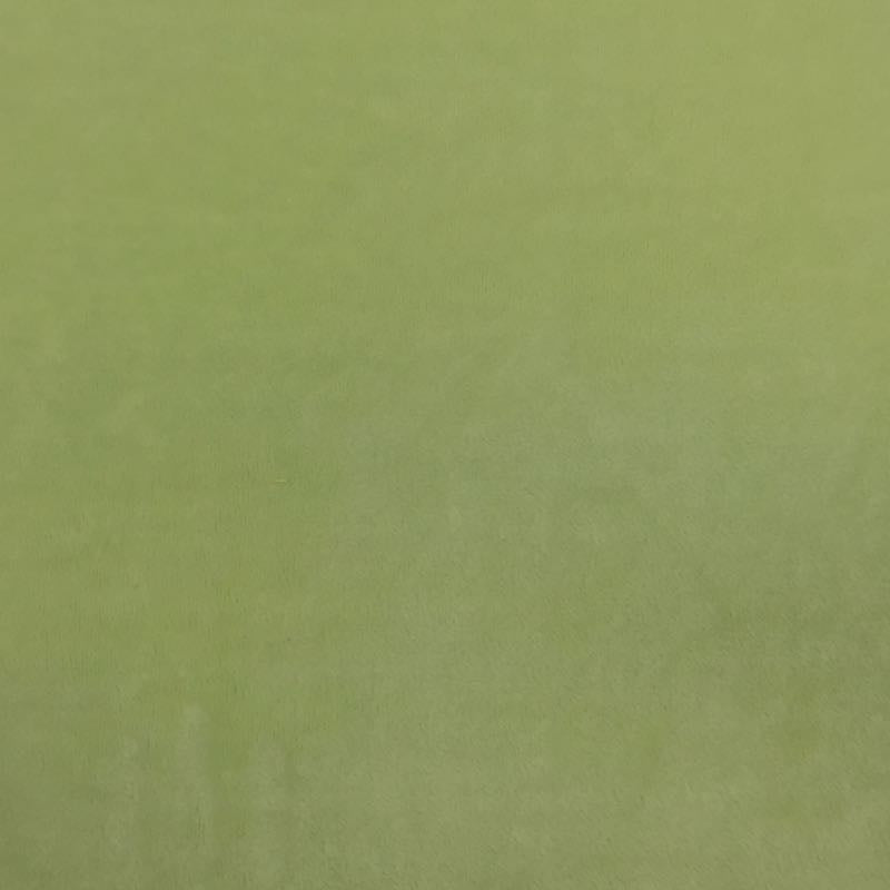 Asparagus Solid Minky Fabric
