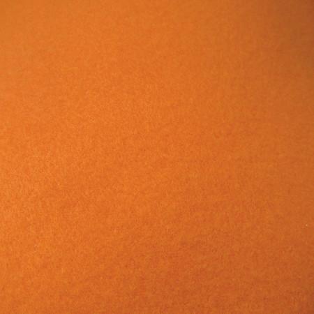 Orange Solid Minky Fabric