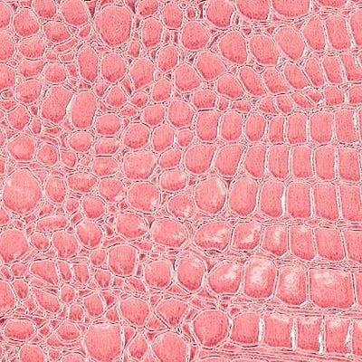 Pink Vinyl Crocodile, 55