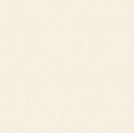 Ivory Solid Minky Fabric
