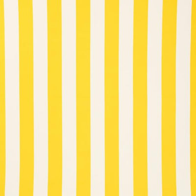 Yellow White Stripe 1