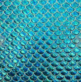 Gray Turquoise Large Mermaid Fish Scale