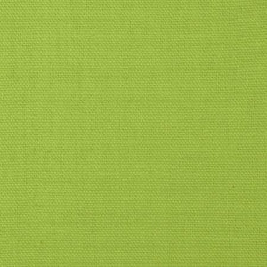 Lime Waterproof Solid Canvas Denier fabric